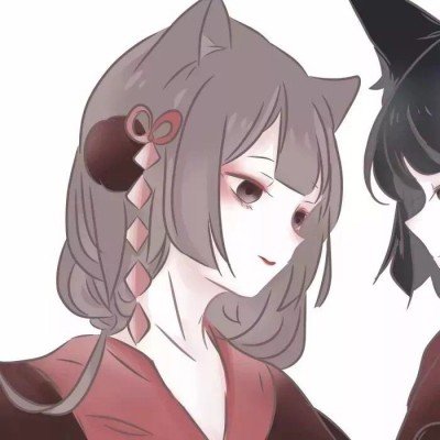 陈赫晒鹿晗live图